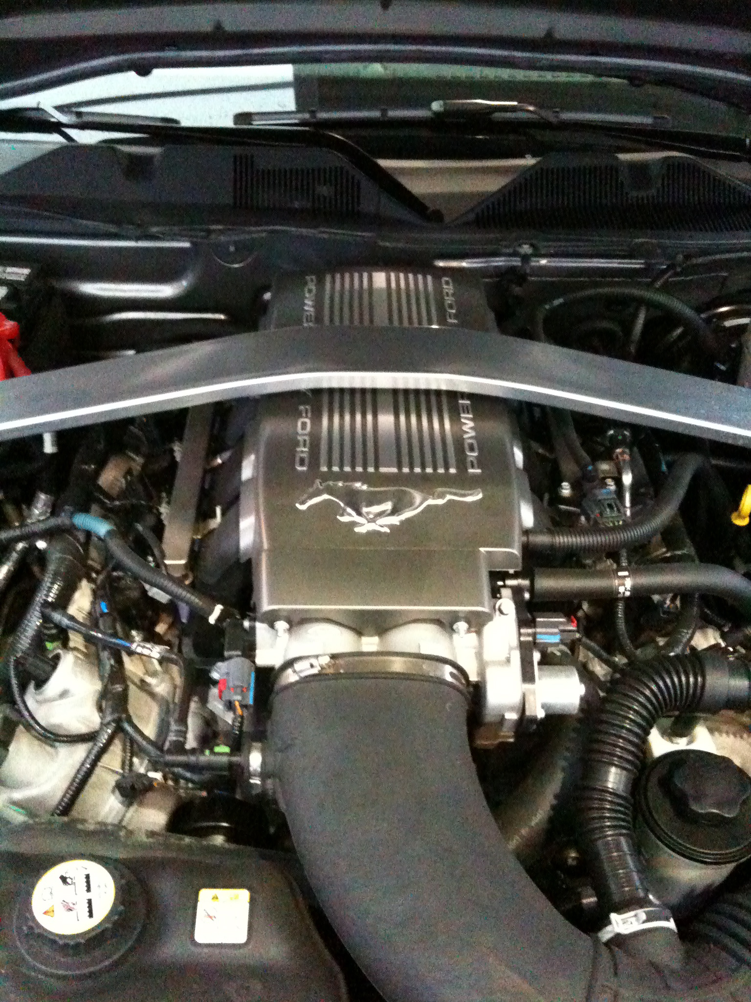 Mustang_GT_Motor.jpg